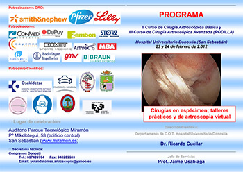 Curso Artroscopia Rodilla