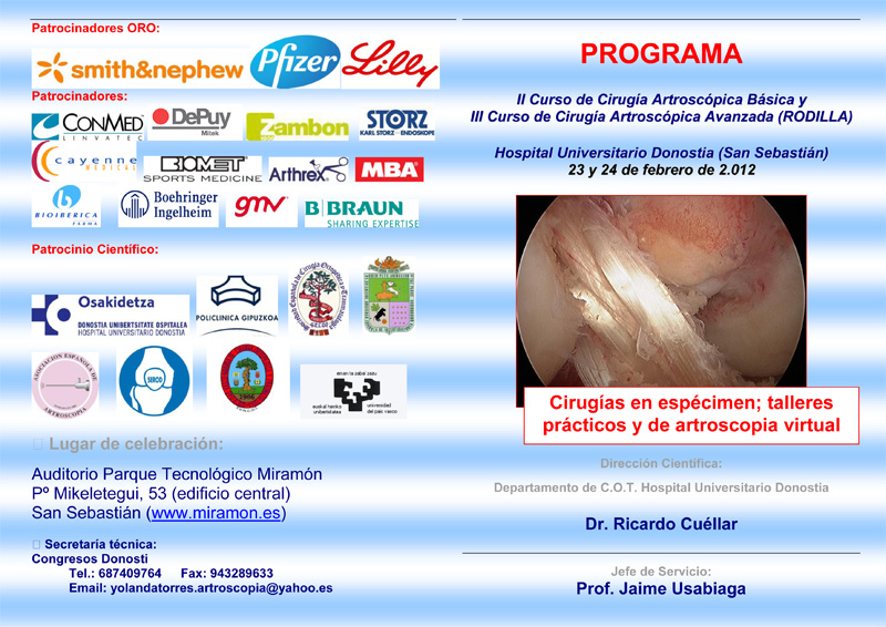 Curso Artroscopia Rodilla